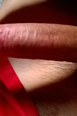 Acompanhante Fernando